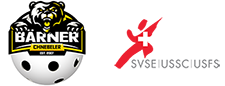 24. SVSE-SM 2022 Logo